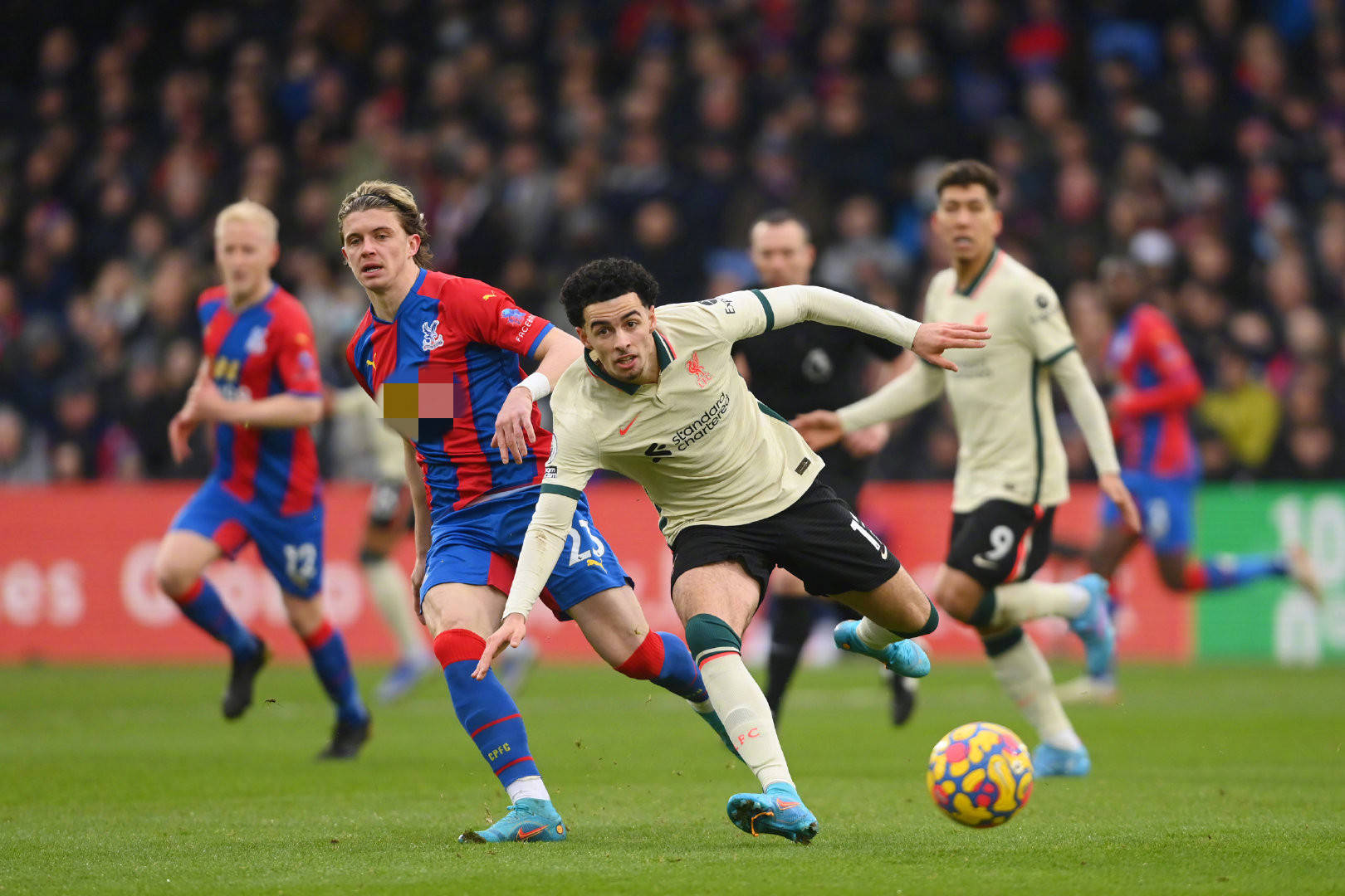 不拥有巨大 不拥有巨大